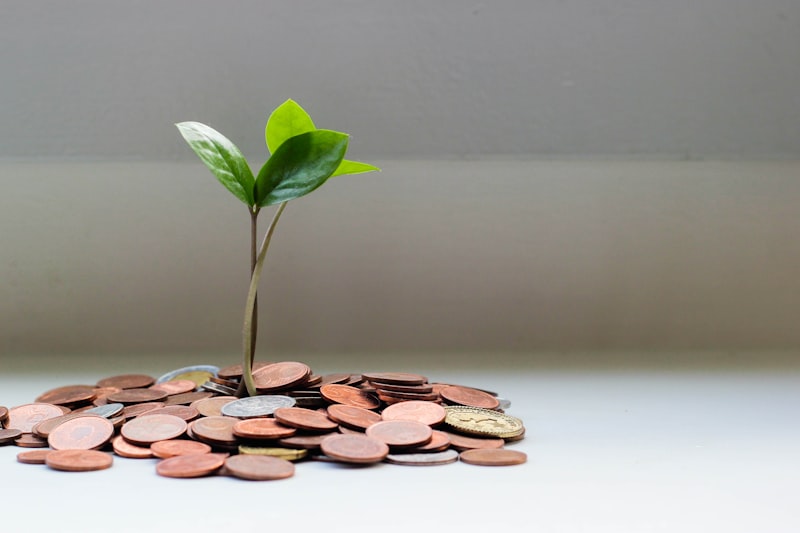 Como organizar suas finanças pessoais em 5 passos simples